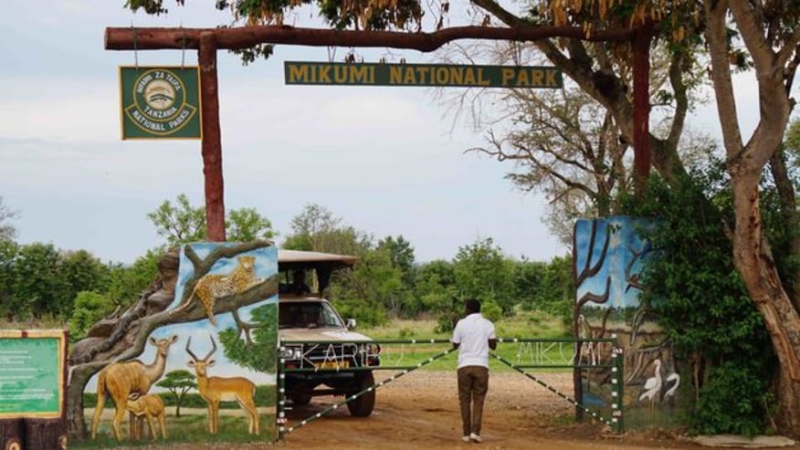 Mikumi safari landscape